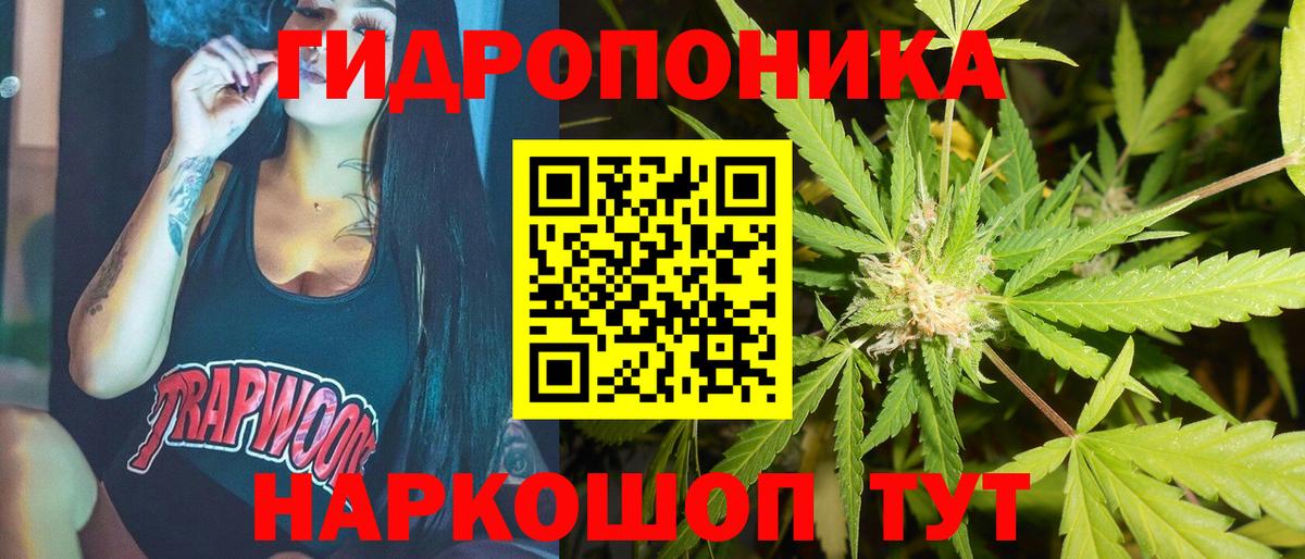 МАРИХУАНА план Торжок